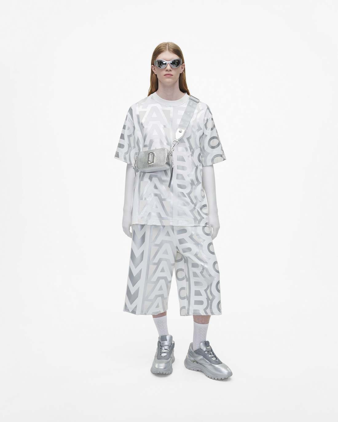 The Metallic Snapshot Dtm Silver