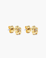 Gold/Crystal